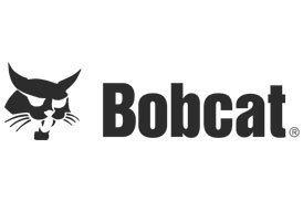 bobcat